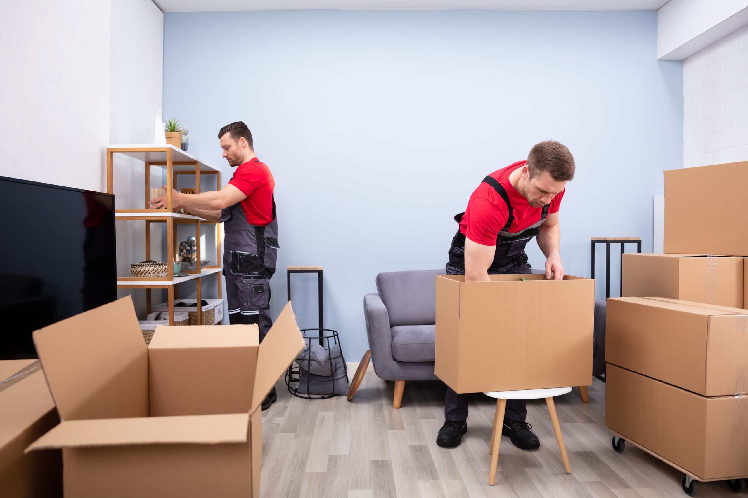 Two movers in red shirts organize a living room, placing items on shelves and unpacking boxes. The setting reflects a home relocation.